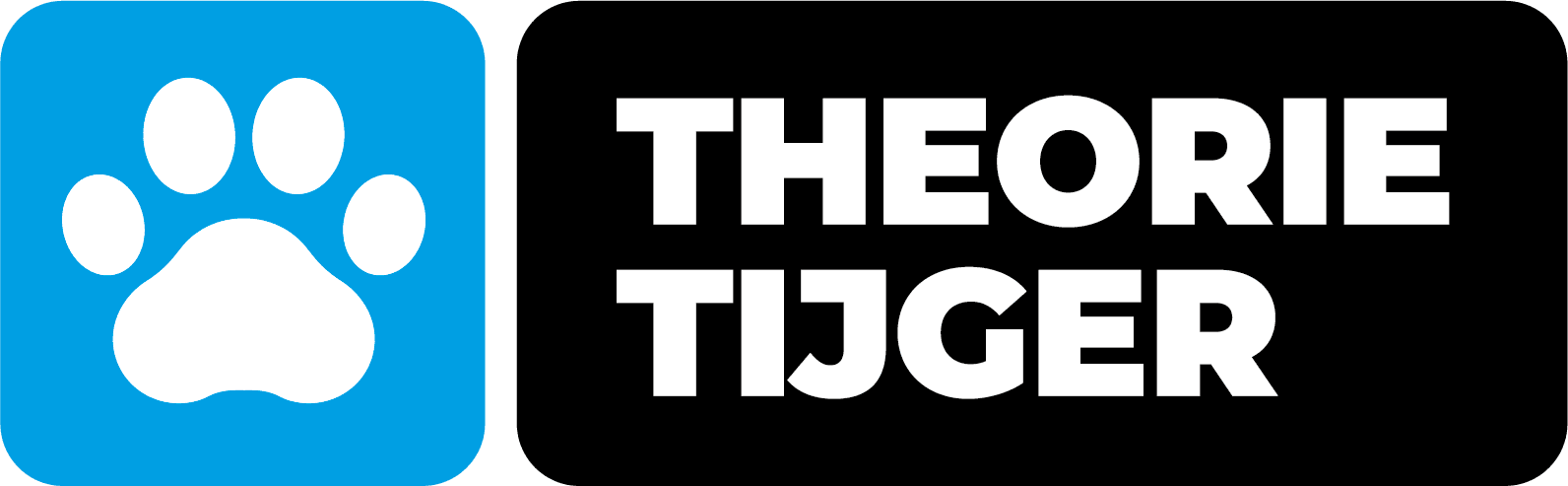 Theorietijger